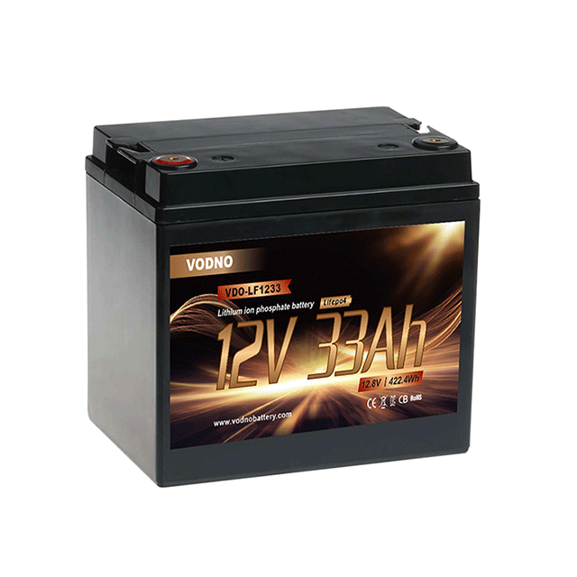 Lifepo4 12v 100Ah Lithium Ion Battery Pack With BMS