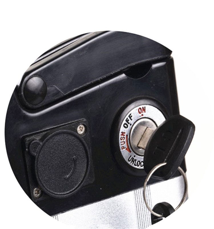 Silver Fish Lithium Ion 24v 12Ah E-bike Battery Pack With Good Quality BMS