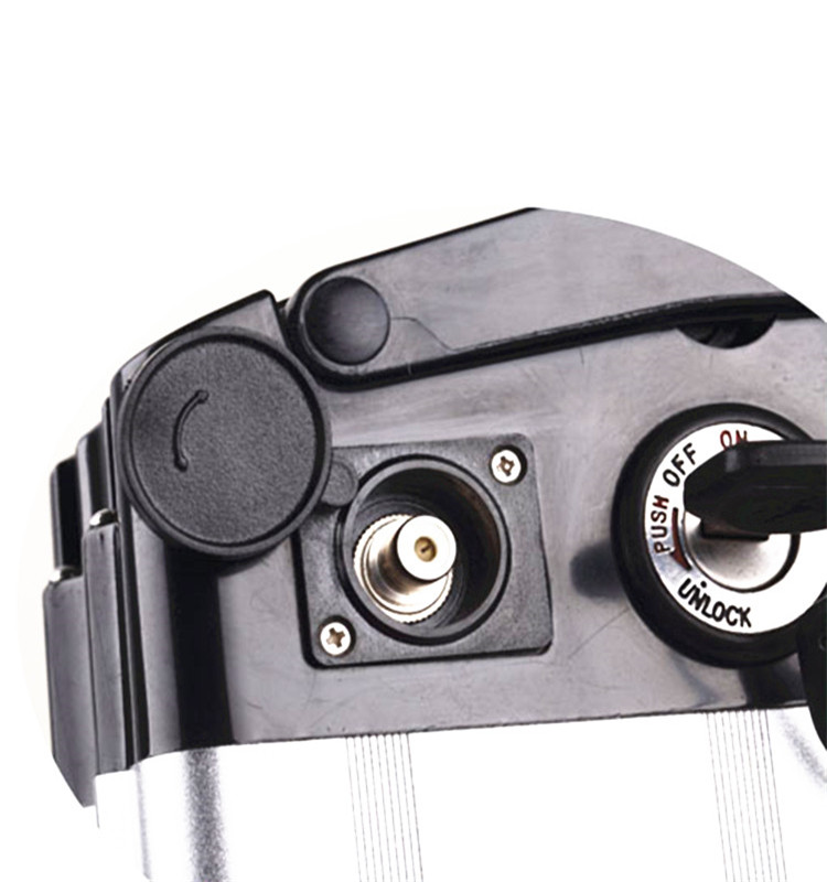 Silver Fish Lithium Ion 24v 12Ah E-bike Battery Pack With Good Quality BMS