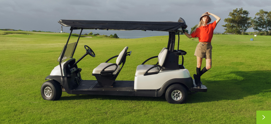 AGV (Automatic Guided Vehicle)